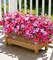 Artificial Outdoor Flowers 20 Bundles UV Resistant Morning Glory with Eucalyptus Fuchsia Gradient